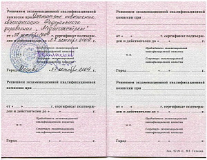 Сертификат врача по специальности «Акушерство и гинекология» при Медицинском институте усовершенствования врачей ФГБОУ ВПО «МГУПП»